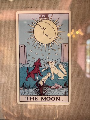 Voodoo Doughnut by null