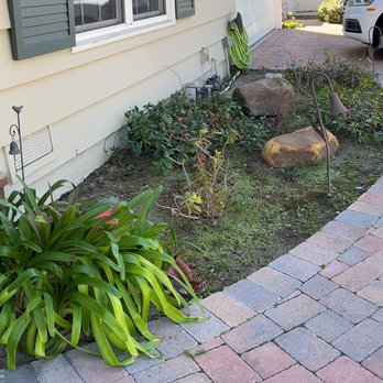 Growscapes - Before - shade planter whose sprinkler was connected to a full sun planter - Landscaping Near Me Growscapes - Before - shade planter whose sprinkler was connected to a full sun planter - Landscaping Near Me