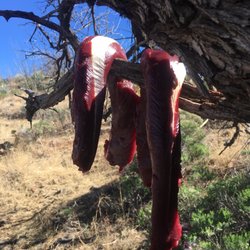 Wild Game Processing - This goes into their shady shop....