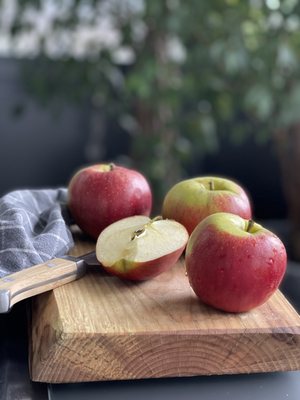 APPEL HAPPEL by null