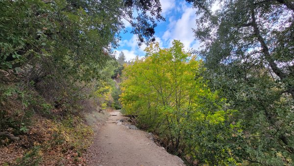 Wapama Falls by null