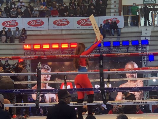 Monumental Plaza de Toros by null