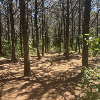 Parallel Forest - Landmarks & Historical Buildings Near Me - LAWTON, Oklahoma