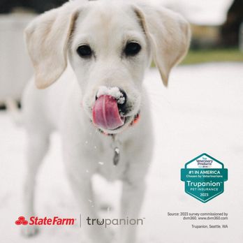 Alex Pack - State Farm Insurance Agent - Give your pet the gift of good health this holiday season. State Farm has teamed up with Trupanion, the #1 pet medical insurance among vets; - Home & Rental Insurance Near Me - Atlanta, Georgia Alex Pack - State Farm Insurance Agent - Give your pet the gift of good health this holiday season. State Farm has teamed up with Trupanion, the #1 pet medical insurance among vets; - Home & Rental Insurance Near Me - Atlanta, Georgia