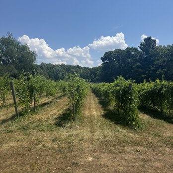 Fox & Hen Winery - vineyards! - Wineries Near Me - Grand Haven, Michigan