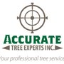 Photo of Accurate Tree Experts