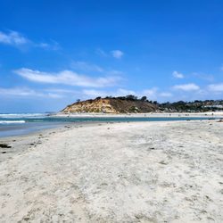 Torrey Pines State Beach - Torrey Pines State Beach