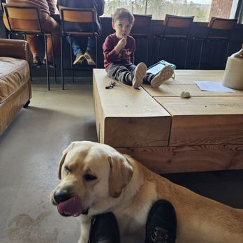 CROOKED CULTURE BREWING - Updated September 2024 - 29 Photos & 17