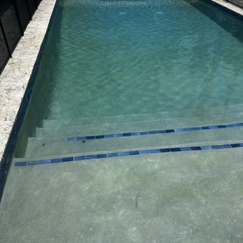 Dan The Tiki Man - Green algae - General Contractors Near Me