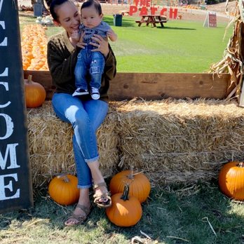 The Patch - Santa Maria - Pumpkin Patches Near Me - Santa Maria, California