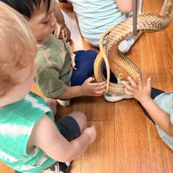 Magic Carousel Montessori Preschool