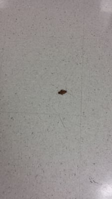 UT Medicine San Antonio