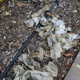 Flushable wipes?  Not very flushable.