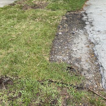 Dixon Nursery - This is the swale left incomplete - Nurseries & Gardening Near Me - Miami, Florida Dixon Nursery - This is the swale left incomplete - Nurseries & Gardening Near Me - Miami, Florida