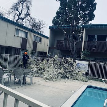 Julian Tree Care - Tree Services Near Me Julian Tree Care - Tree Services Near Me
