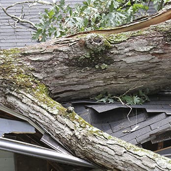 Claims Elements Public Adjusters - Public Adjusters Near Me Claims Elements Public Adjusters - Public Adjusters Near Me
