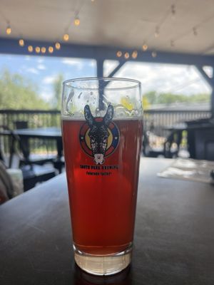 South Park Brewing by null