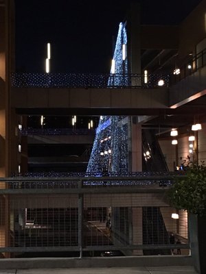 Bronx Terminal Market by null