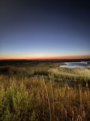 Ropewalk Ocean City by null