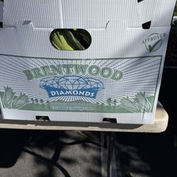 Tamarack Junction Farmers Market