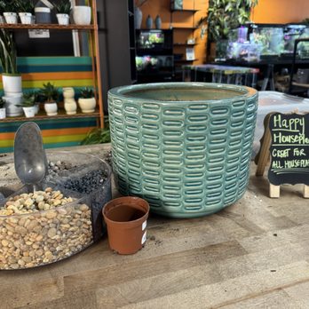 Jungle Box - Nurseries & Gardening Near Me - Phoenix, Arizona