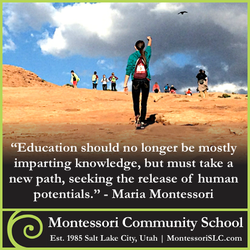 Montessori Community School