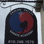 Photo of Saucon Valley Karate Academy