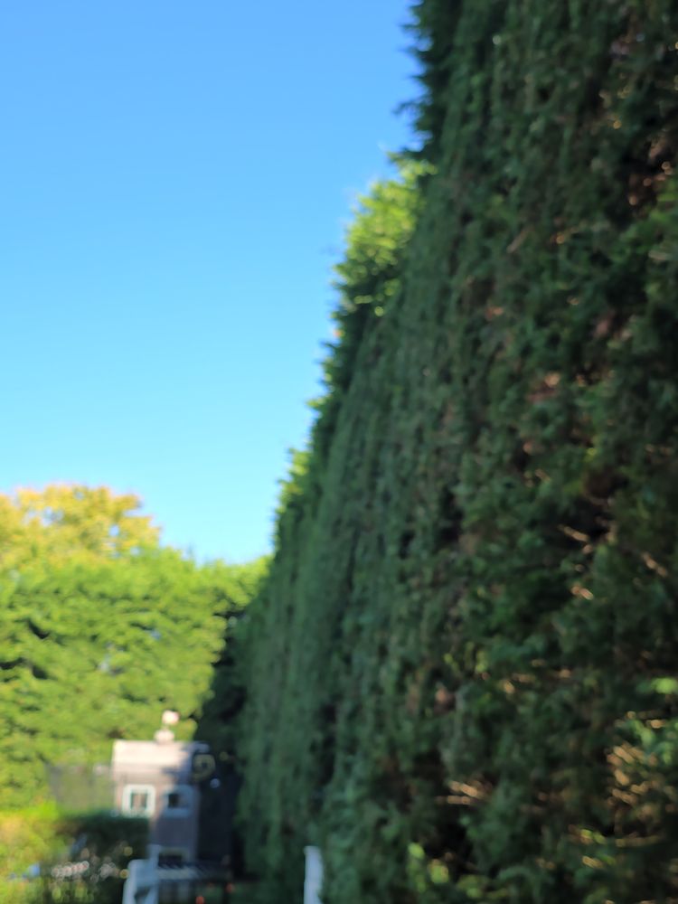 LONDONO TREE SERVICE Updated October 2024 Request a Quote 17