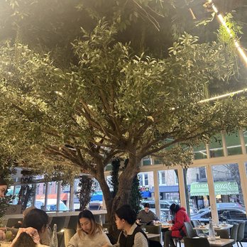Ayat NYC - Decor - Arabic Near Me - Brooklyn, New York