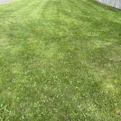 Defides Lawncare Specialists