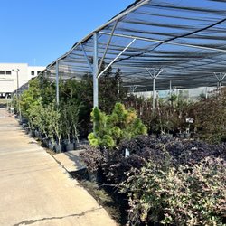 Mike's Garden Centers