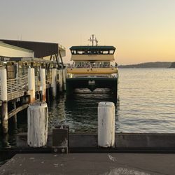 Manly Wharf