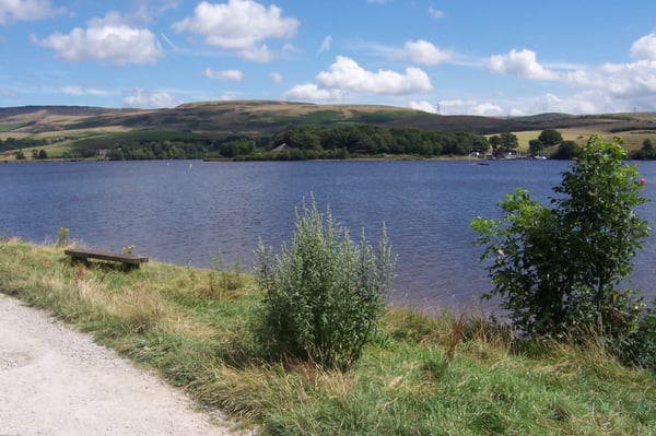 Hollingworth Lake by null