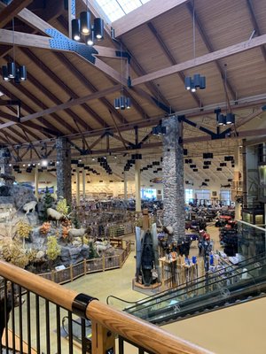Large Crowd For Cabela S Grand Opening More Events Through Weekend Headlines Insidenova Com