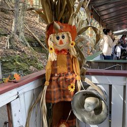 Catskill Mountain Railroad - Train