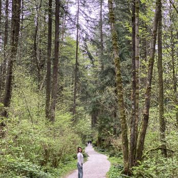 Green Timbers Urban Forest - Tall shady trees - Parks Near Me - Surrey, British Columbia Green Timbers Urban Forest - Tall shady trees - Parks Near Me - Surrey, British Columbia