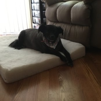 So Fetch - Pet Groomers Near Me - Las Vegas, Nevada So Fetch - Pet Groomers Near Me - Las Vegas, Nevada