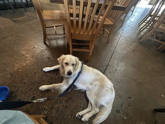 French Broad River Brewery by null