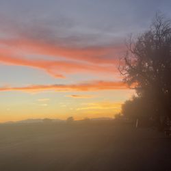 Antelope Valley Rv Park - No filter