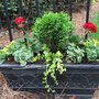 Photo of Pots & Petals Designs