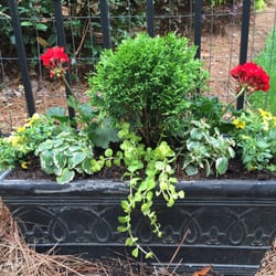 Pots & Petals Designs