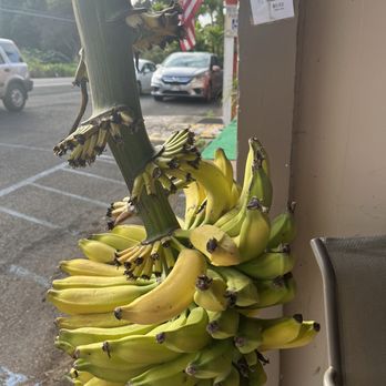 Menehune Coffee Company - Don't forget some bananas hanging outside! - Coffee & Tea Near Me - Captain Cook, Hawaii