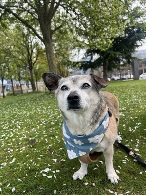 Lake Union Park by null