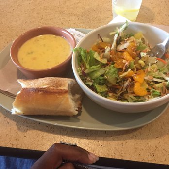 Panera Bread - Broccoli cheddar and Chinese cashew salad no chicken - Sandwiches Near Me - Baton Rouge, Louisiana Panera Bread - Broccoli cheddar and Chinese cashew salad no chicken - Sandwiches Near Me - Baton Rouge, Louisiana