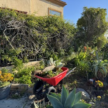 Apex Demolition - Pre iron fence/vine/ plant removal - Demolition Services Near Me Apex Demolition - Pre iron fence/vine/ plant removal - Demolition Services Near Me