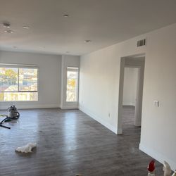 Egor Handyman - Patch and paint and deep cleaning
