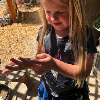 Creative Nature Project - Preschools Near Me - Orangevale, California