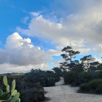 Torrey Pines State Reserve - Parks Near Me - La Jolla, California Torrey Pines State Reserve - Parks Near Me - La Jolla, California