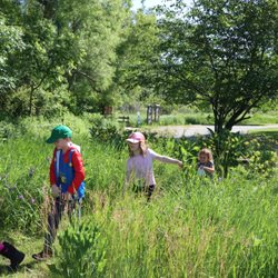 Gibson Woods Nature Preserve