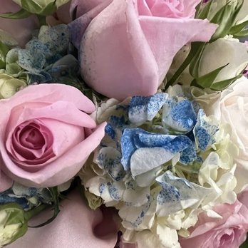 Bears & Roses - Flowers - Florists Near Me - Hawaiian Gardens, California Bears & Roses - Flowers - Florists Near Me - Hawaiian Gardens, California